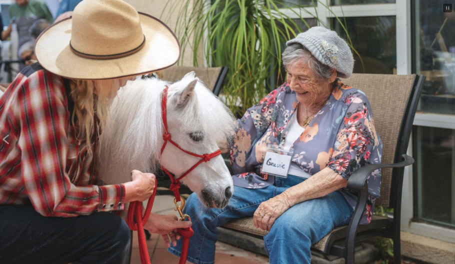 White mini therapeutic horse named Romeo with his female handler. They are with a seated, smiling senior woman at Senior Concerns adult day program in Thousand Oaks